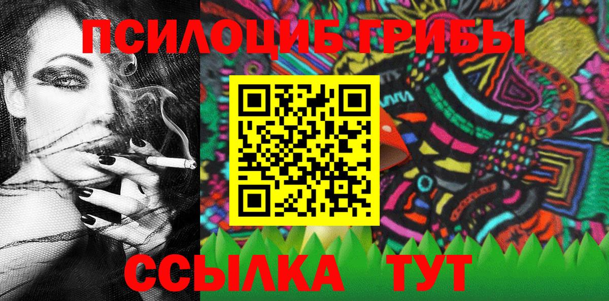 Майкоп  Псилоцибиновые грибы Psilocybe  Вход с VPN  Псилоцибиновые грибы мухоморы 