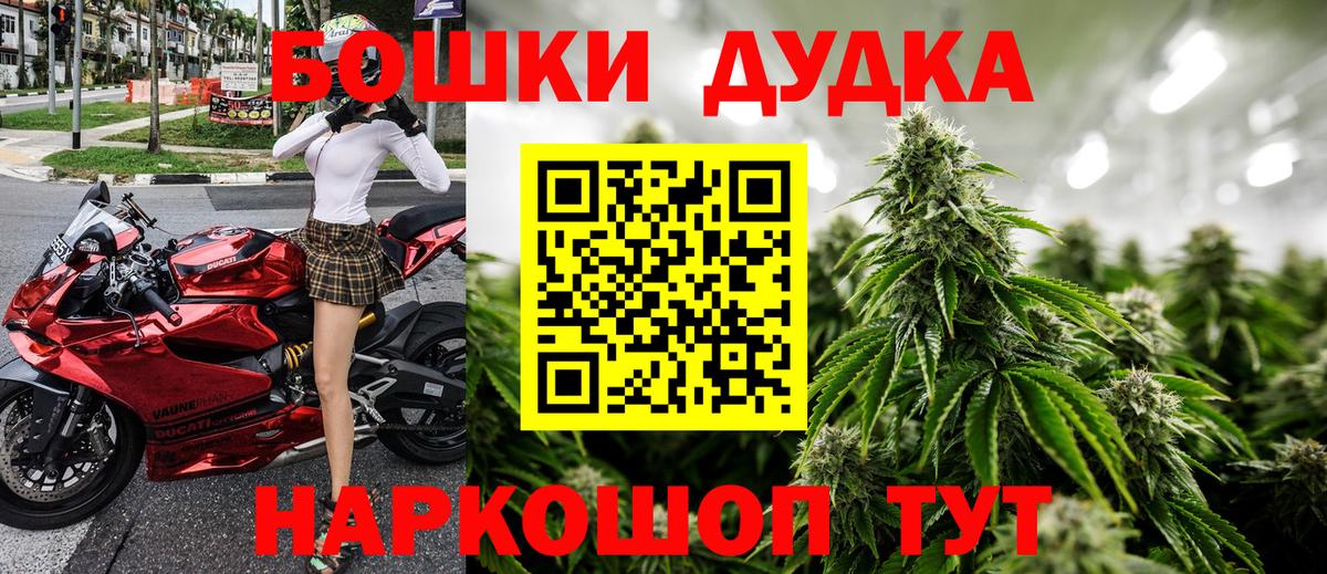 Каннабис гибрид Майкоп
